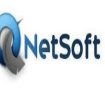 Netsoft logo