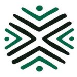 Link Education International logo